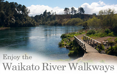 Enjoy the Waikato River Walkways
